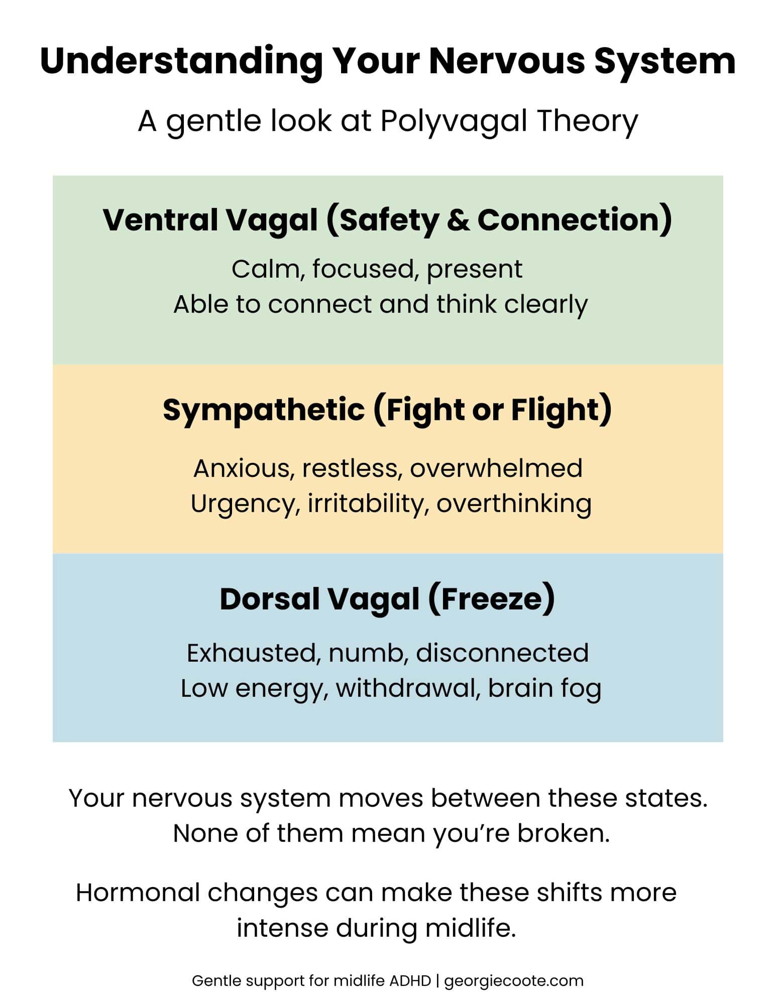 Simple infographic explaining Polyvagal Theory and nervous system states: safety, fight or flight, and shutdown